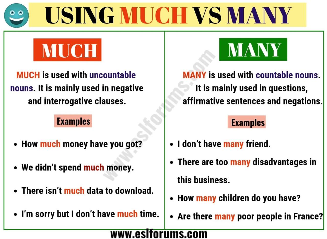 How much/how many · English grammar exercise (beginner level) | bitgab