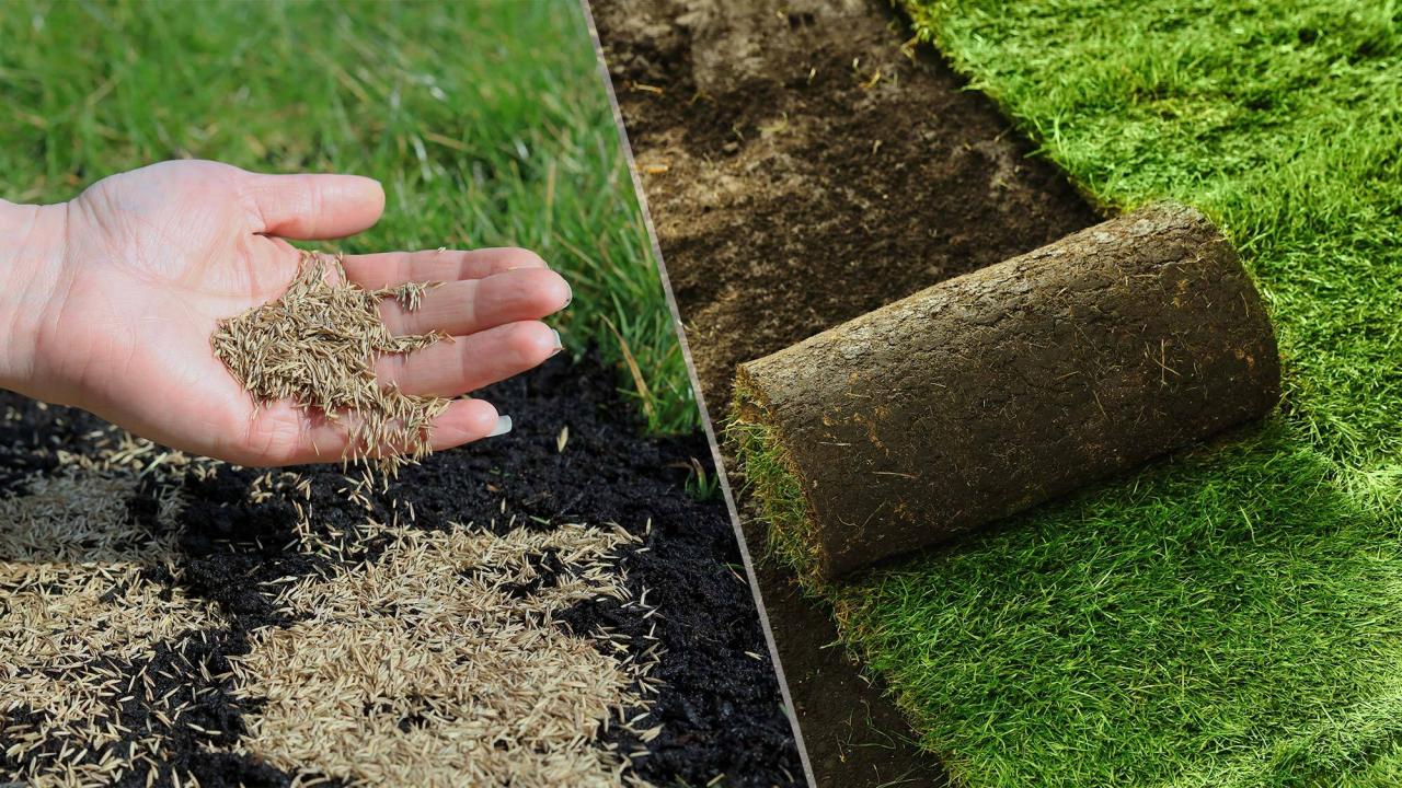 Purchase Sod - Genesis Sod Farm
