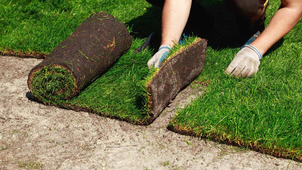 Almost Perfect Landscaping | Sod Installation - Almost Perfect Landscaping