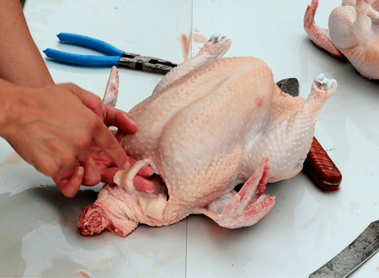 How to butcher a chicken