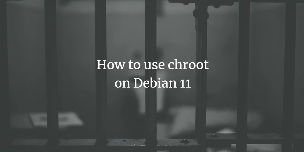 How to use chroot on Debian 11 – VITUX