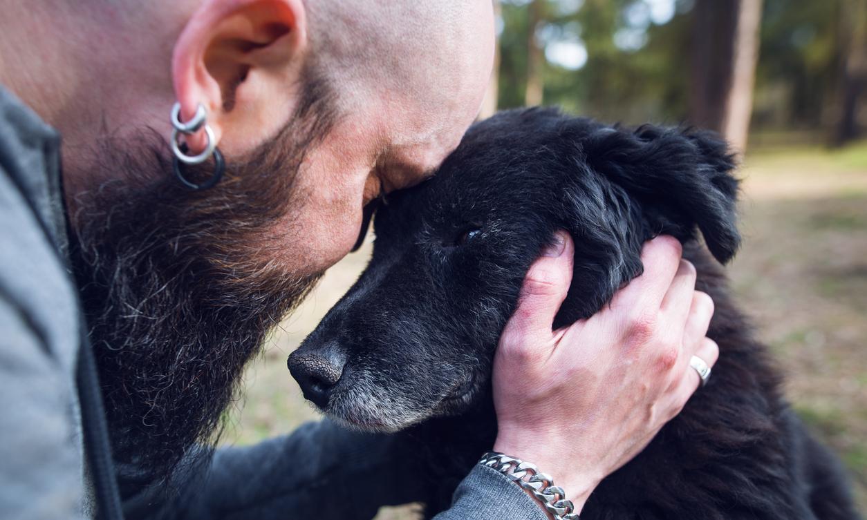 How Much Does It Cost to Cremate a Dog? A Guide for Pet Owners - The ... How Much Does It Cost to Cremate a Dog? A Guide for Pet Owners - The ...