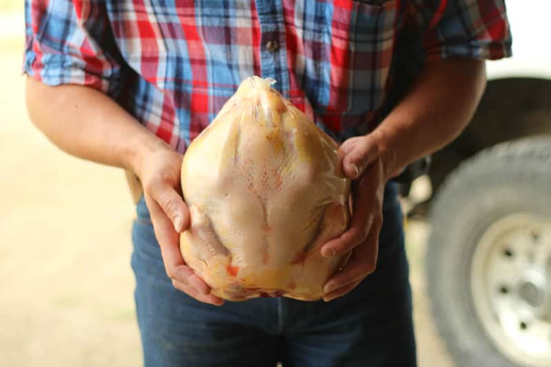 How to Butcher a Chicken • The Prairie Homestead