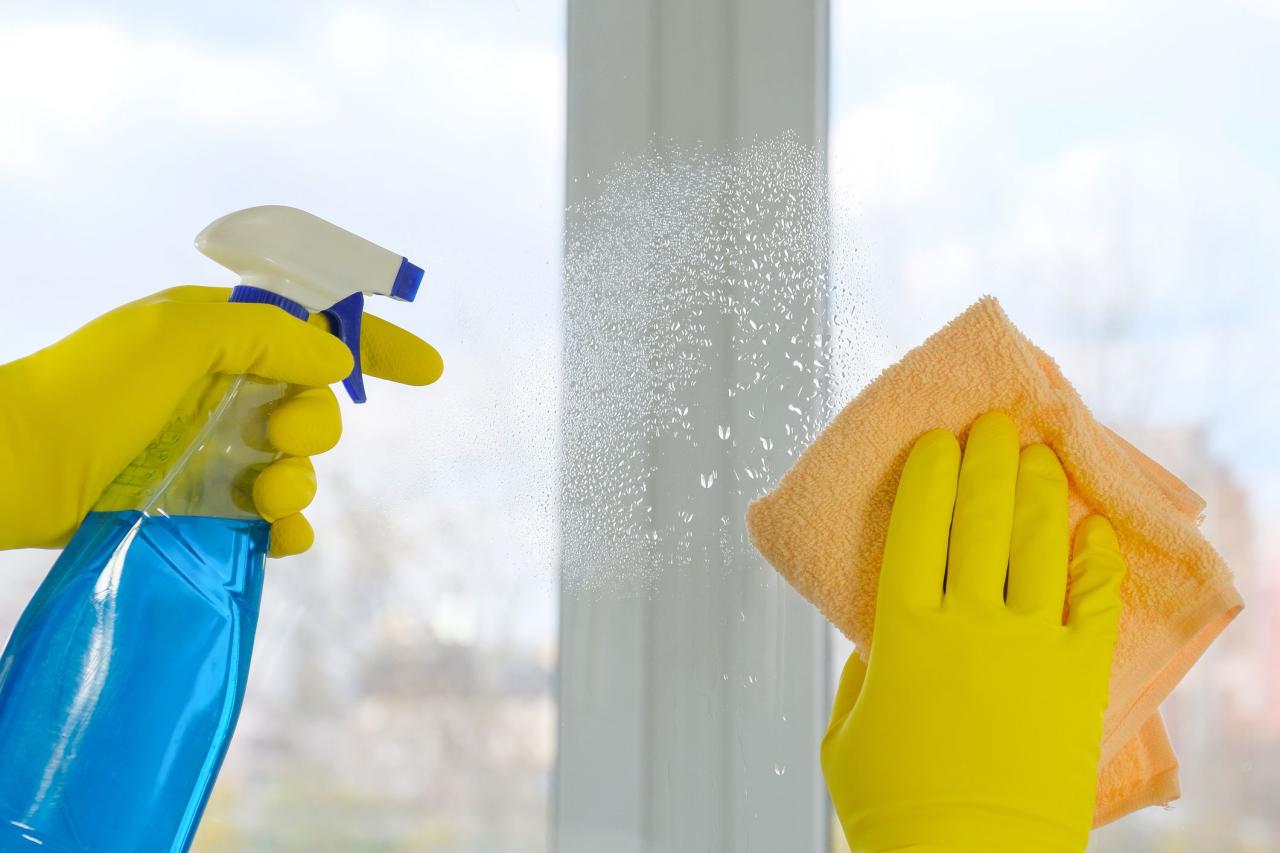 How To Clean Your Windows | Cleany Miami